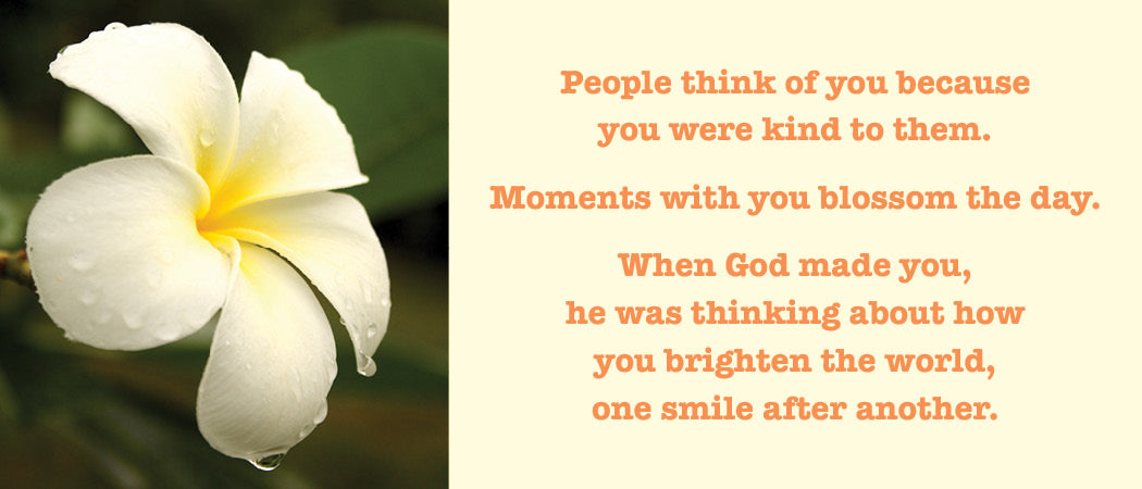 Moments with you blossem the day